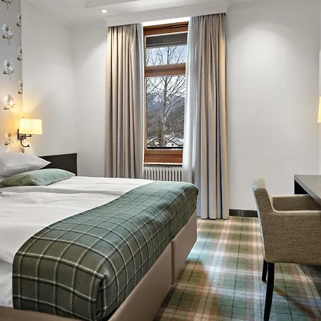 모로사니 슈바이처호프 호텔