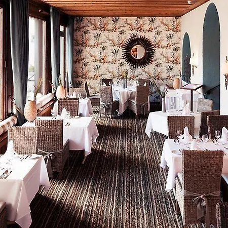 모로사니 슈바이처호프 호텔 다보스